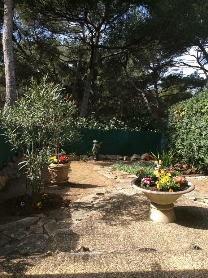 T2 Rez De Jardin 300M Plage De Beaucours Sanary Sur Mer Sanary-sur-Mer Exterior foto